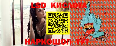 2c-b Кингисепп