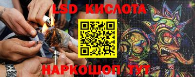 2c-b Кингисепп