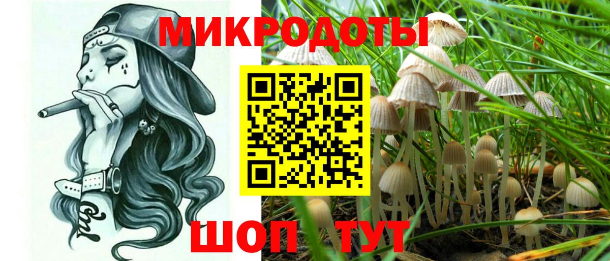 как найти   Вход с VPN  Котельники  Псилоцибиновые грибы ЛСД 