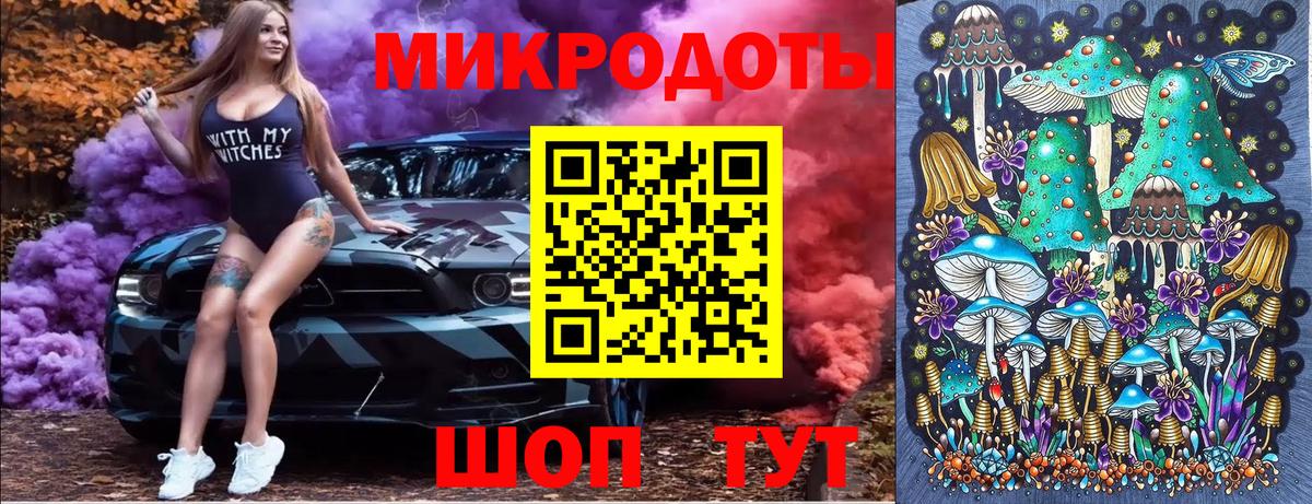 Галлюциногенные грибы Psilocybe Котельники